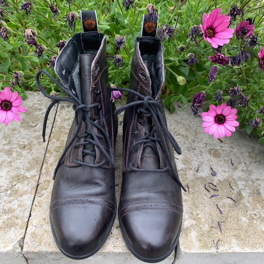 dark brown ariat women’s riding boots short